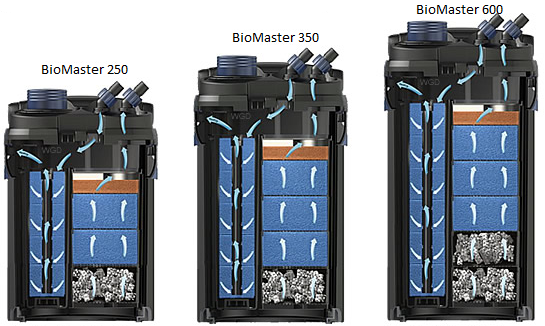 Biomaster filtry oase przekrój