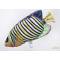 Poduszka maskotka ryba Ustniczek królewski 56cm Gaby