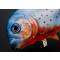 Poduszka maskotka ryba Pirania 47cm Gaby