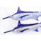Poduszka maskotka ryba Marlin gigant 115cm Gaby