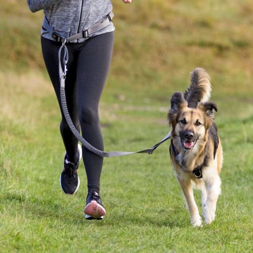 Pas biodrowy ze smyczą do biegania z psem 75-120cm Trixie