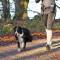 Pas biodrowy ze smyczą do biegania z psem 60-120cm Trixie