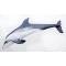 Poduszka maskotka Delfin szary gigant 125cm Gaby