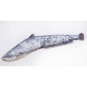 Poduszka maskotka ryba Sum 62cm Gaby