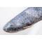 Poduszka maskotka ryba Sum 62cm Gaby