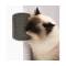 Szczotka dla kota montowana do ścian mebli Catit