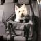 Trixie 3w1 transporter fotelik samochodowy, torba dla psa, kota do 9kg