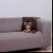Trixie Ochronny koc Laslo dla psa 75x50cm, ciemny brąz