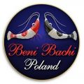 Benibachi logo